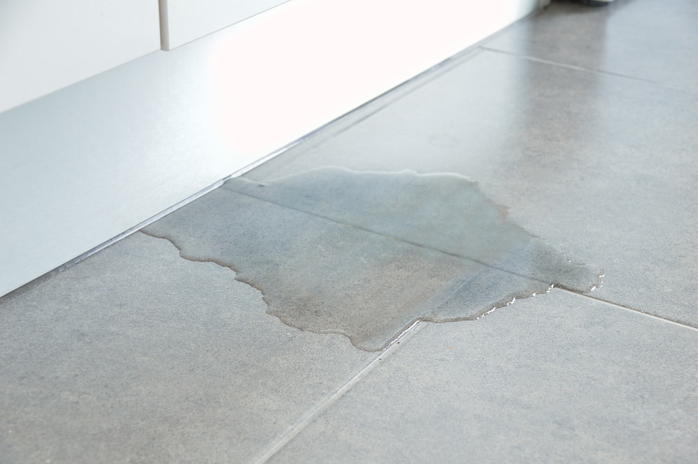 Puddle of water on the floor of an office building with no wet floor sign, a potential hazard of negligence.